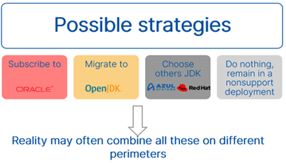 Potential software strategies for Oracle Java