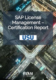 itr-report-sap-thumbnail